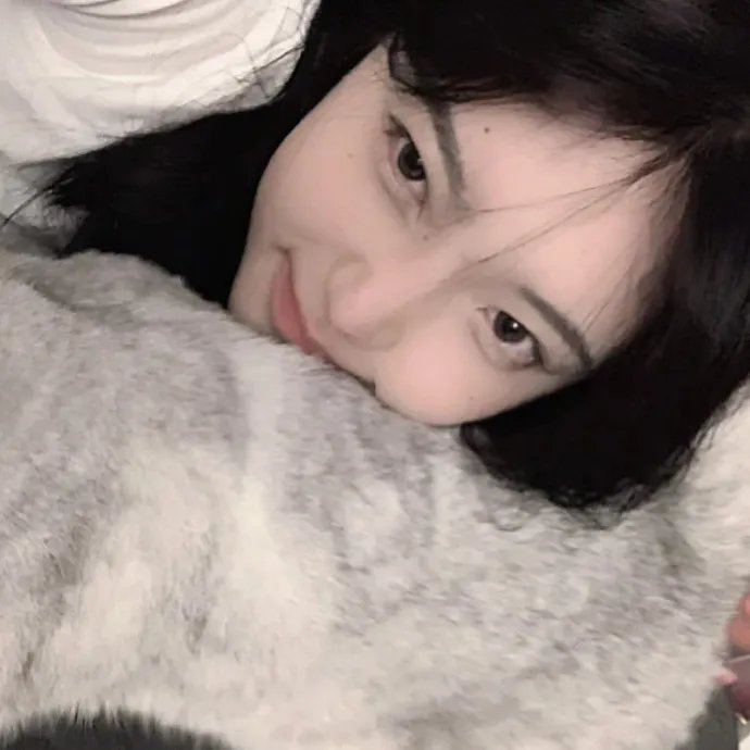 顽皮豹之怀念探长 在线观看