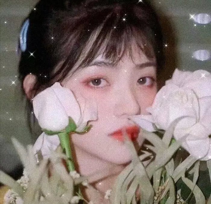 捕风追影 在线观看